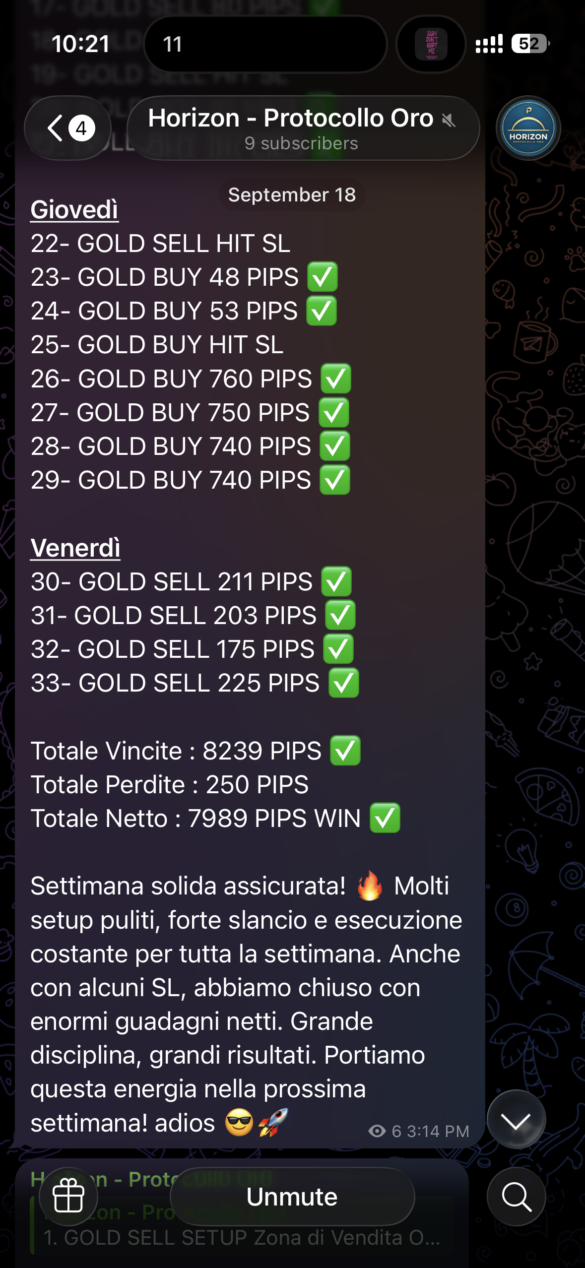 Horizon: recap showing positive pips, losses and the net total.